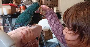 helene pet sitter à AUBENAS 07200_0