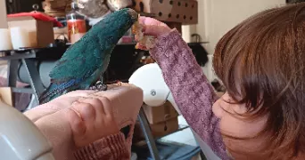 helene pet sitter à AUBENAS 07200