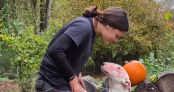 angelina pet sitter à FOURQUES 30300