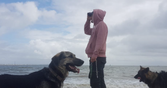 gregory pet sitter à STE MESME 78730_0