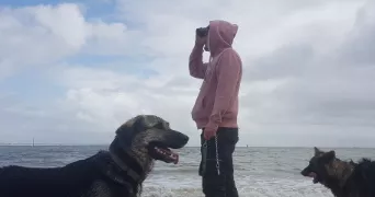 gregory pet sitter à STE MESME 78730