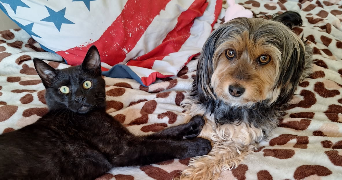 laura pet sitter à DRANCY 93700_4