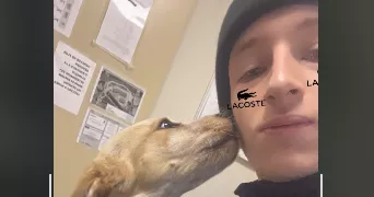 clyde pet sitter à ALES 30100