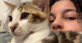 malabar-oukhai pet sitter à BALLANCOURT SUR ESSONNE 91610_0