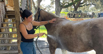 lylou pet sitter à ST DONAT SUR L HERBASSE 26260_4