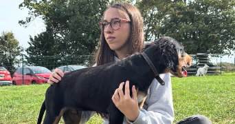 candice pet sitter à FEREL 56130_0