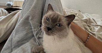 clemence pet sitter à ST MAUR DES FOSSES 94100_6