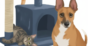 brian pet sitter à MONTPELLIER 34000_2