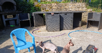 maud pet sitter à MACORNAY 39570_4