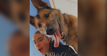 odelia pet sitter à TOULON 83200_3