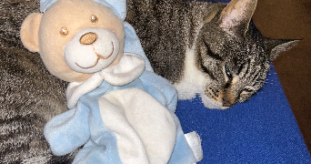 mathilde pet sitter à DUNKERQUE 59430_2