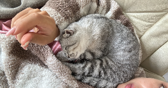 raisa pet sitter à SEVRAN 93270_2