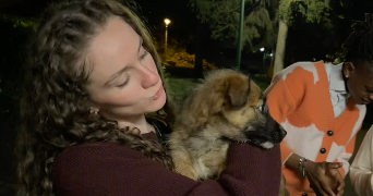 inès pet sitter à GAGNY 93220_0