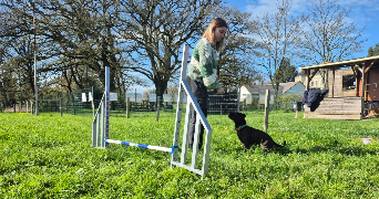 noëlla pet sitter à RIVES DU LOIR EN ANJOU 49140_3