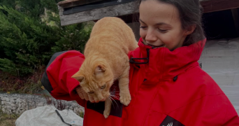 maëva pet sitter à ST MICHEL LES PORTES 38650_1