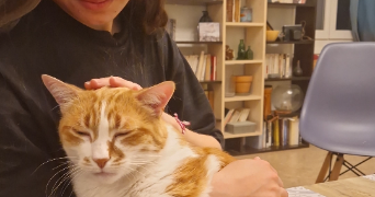 ambre pet sitter à ALBI 81000_2