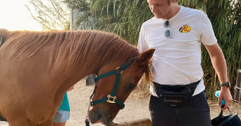 martin pet sitter à BOULOGNE BILLANCOURT 92100_1