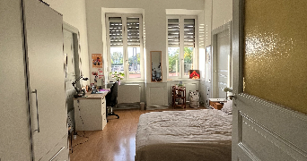 lisa pet sitter à STRASBOURG 67000_0