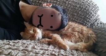 syphax pet sitter à PARIS 18 75018_1