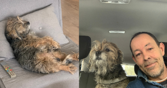 antoine pet sitter à PARIS 11 75011_1