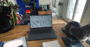 audrey cat sitter à VERNEUIL SUR SEINE 78480_6