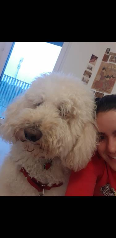 Camille pet sitter à Donville-les-Bains 50350