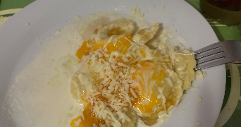 paz pet sitter à ANZIN 59410_1