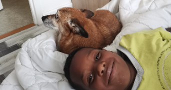 cindy pet sitter à Thonon-les-Bains 74200_5