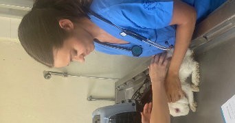 lucie pet sitter à BEZIERS 34500_3