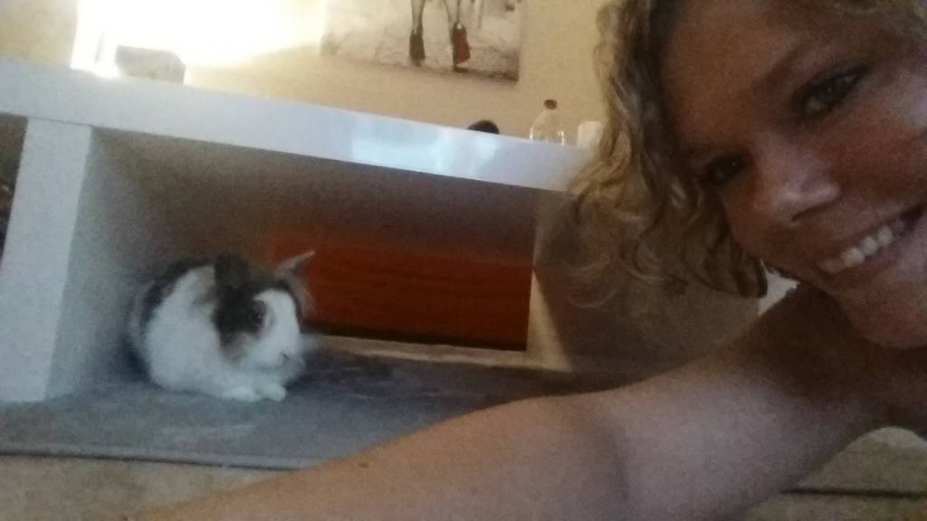 tiffany pet sitter à Lagny-sur-Marne 77400_1