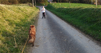 léo pet sitter à TARBES 65000_1