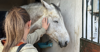 yasmine pet sitter à PARIS 17 75017_2