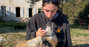 clémentine  pet sitter à Lyon 69005_1