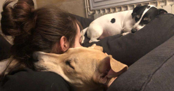 shérazade pet sitter à TALENCE 33400_2