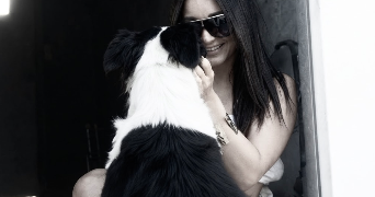co pet sitter à ST SEBASTIEN SUR LOIRE 44230_0