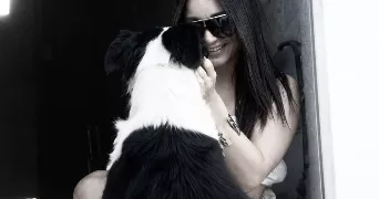 co pet sitter à ST SEBASTIEN SUR LOIRE 44230