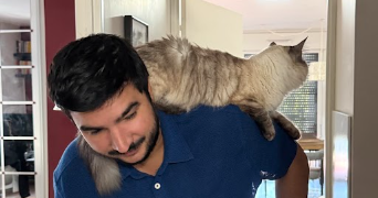 iuliia pet sitter à COLOMBES 92700_7
