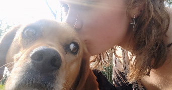 niewiarowski frère pet sitter à LA CHAPELLE SUR ERDRE 44240_1