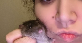 anissa pet sitter à MONTPELLIER 34070_4