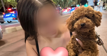 tereza pet sitter à LE ROURET 06650_1