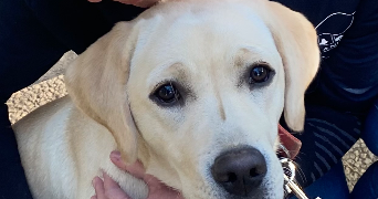 clémence pet sitter à MARSEILLE 05 13005_6