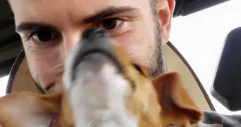 alexandre pet sitter à GRASSE 06130