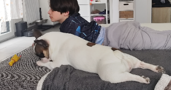 sandy pet sitter à BLANQUEFORT 33290_5