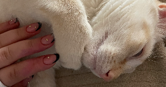 laura pet sitter à MONTFLEUR 39320_2