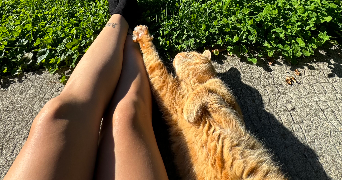 maéva pet sitter à Courchevel 73120_3