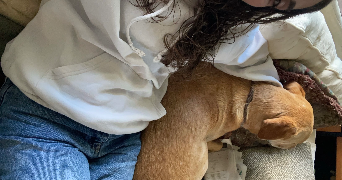 léna pet sitter à BORDEAUX 33200_2