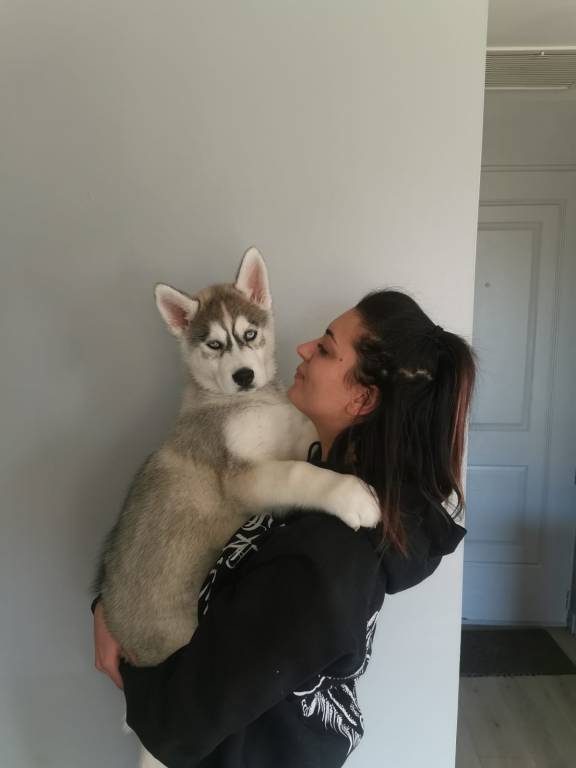 Lucie pet sitter à Vieux 81140