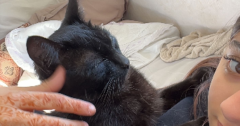 sirine pet sitter à POITIERS 86000_1