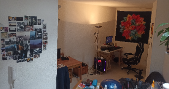 maël pet sitter à TOULOUSE 31300_1