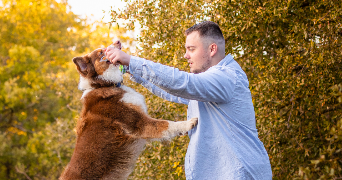 martin pet sitter à LA RABATELIERE 85250